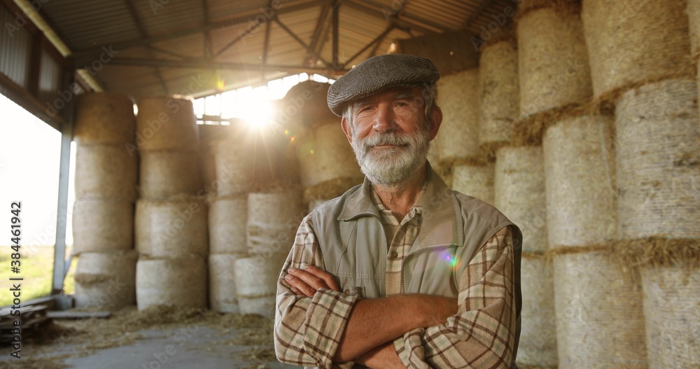 Portrait of Caucasian old gray-haired male farmer in cap standing at hay stocks in farm and looking at camera in sunlight. Grandfather worker at village. Countryside concept. Senior man.