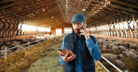 Caucasian man shepherd walking in shed with cattle animals and talking on mobile phone. Male farmer in stable with sheep speaking on cellphone. Worker stepping in barn with tablet device.