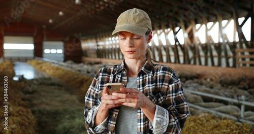 Young Caucasian woman using smartphone and working in farm stable. Female farmer tapping and scrolling on mobile phone in shed. Shepherd texting message on telephone. Farming concept. © VAKSMANV