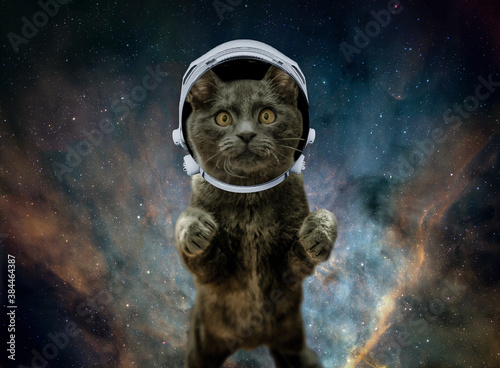 Trippy Space Cat in Astronaut Suit