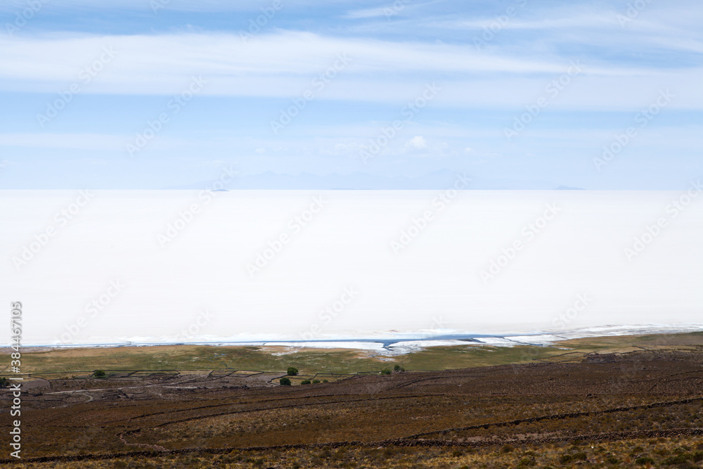Fototapeta premium Grass and salt flats in Bolivia