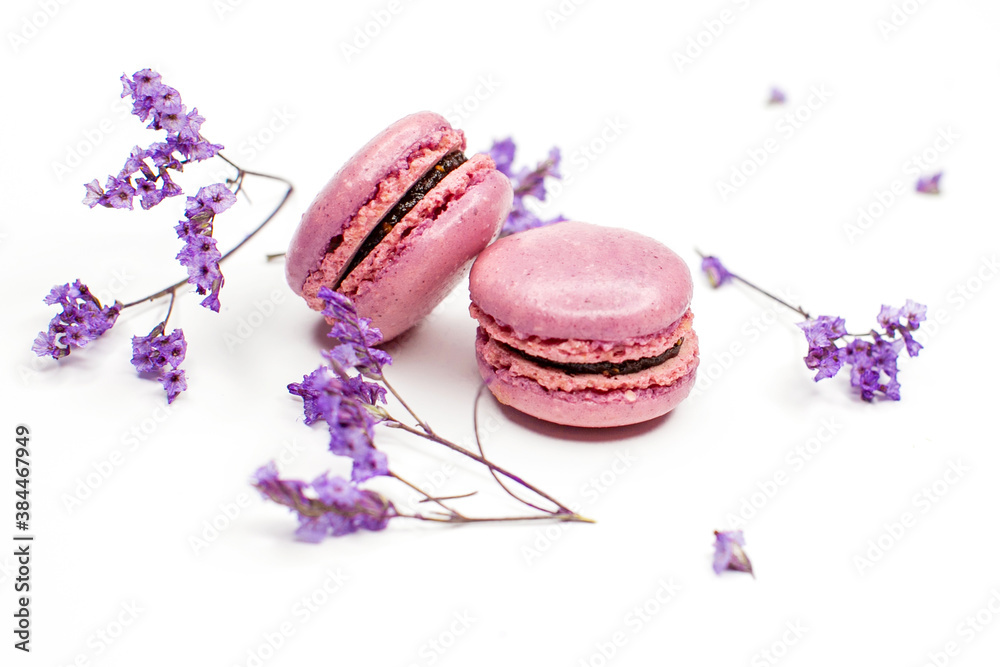 Top view on appetizing pink (purple) macaroons cookies and flowers on a white background. Lavender cookies (intentional selective depth of focus) Top view on appetizing pink (purple) macaroons cookies and flowers on a white background. Lavender cookies (intentional selective depth of focus)