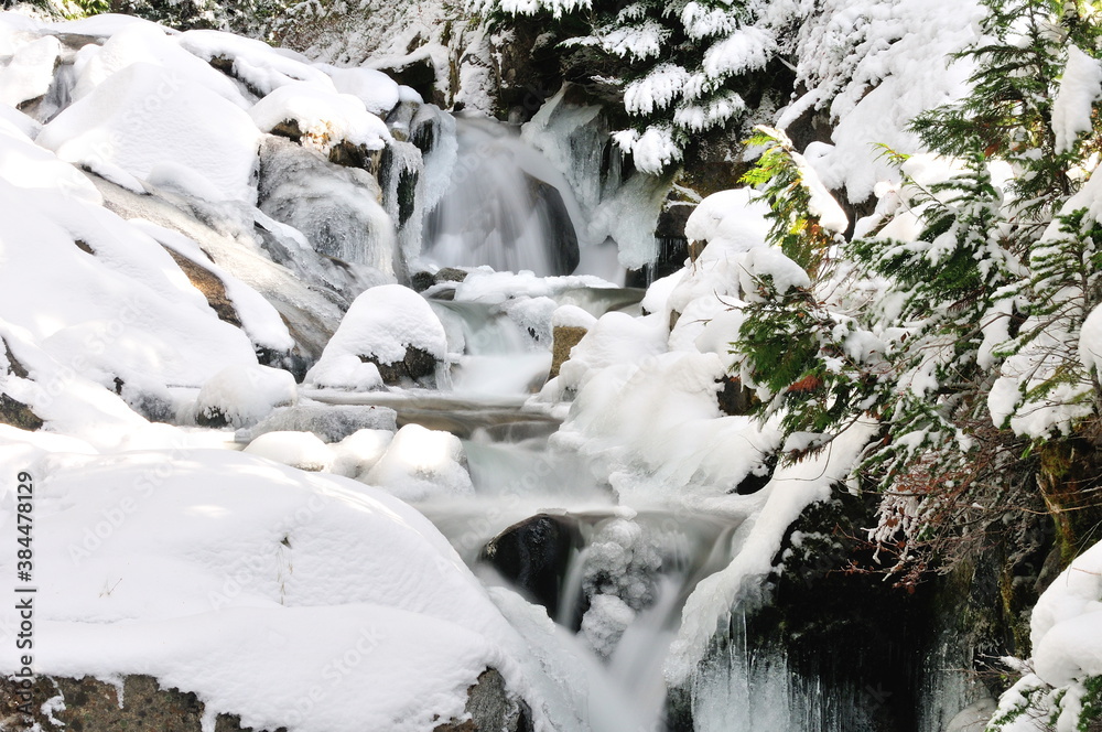 Winter Scenic in Mt. Rainier, WA