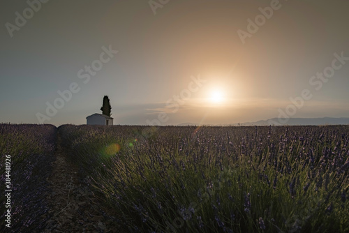 Sunrise over a hovel in a lavender field - Valensole - France - June 2019