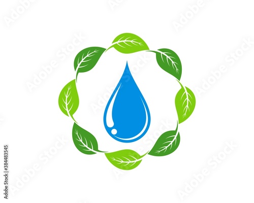 Circular nature leaf with water drop inside
