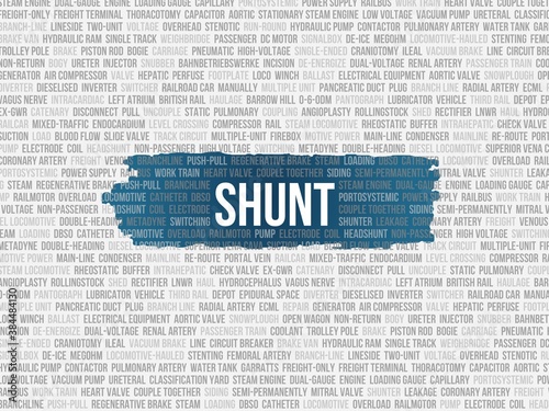 shunt