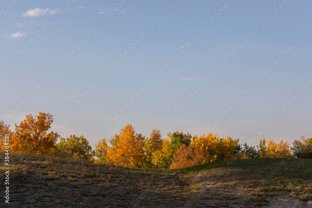 Fall trees over hill Fall trees over hill