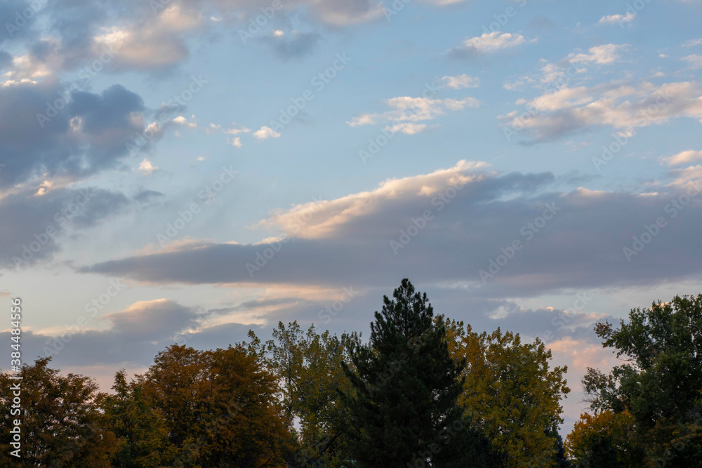 Colorful trees and the blue sunset