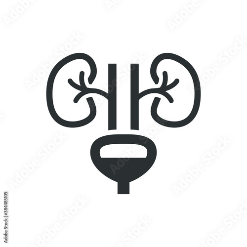 Urology icon