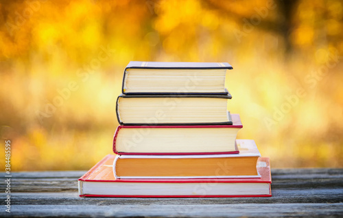 Books in a stack on a wooden table in an autumn park.