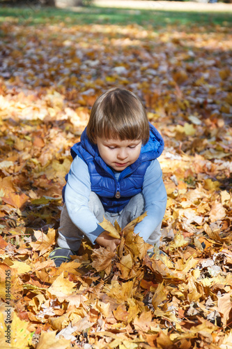 Preschooler playing with leaves in autumnal park. Happy childhood concept