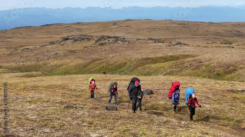 Trekking in Klyuchevskoy volcano park. Travelers with backpacks and trekking poles walk the tundra. Medium shot. Travel to the Kamchatka Peninsula. photo