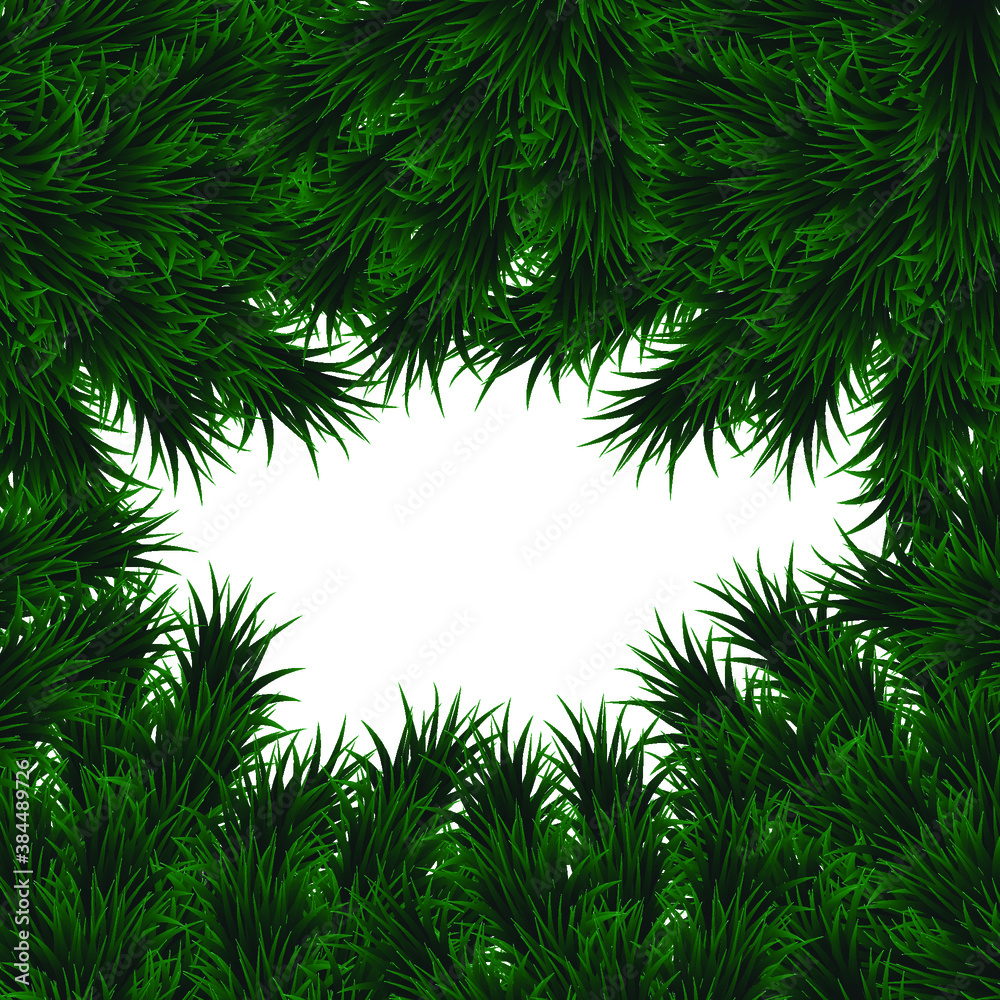 Fir branch, green spruce on a white background. Realistic Christmas tree. Vector illustration for New Year's posters, Christmas cards, banners, flyers.