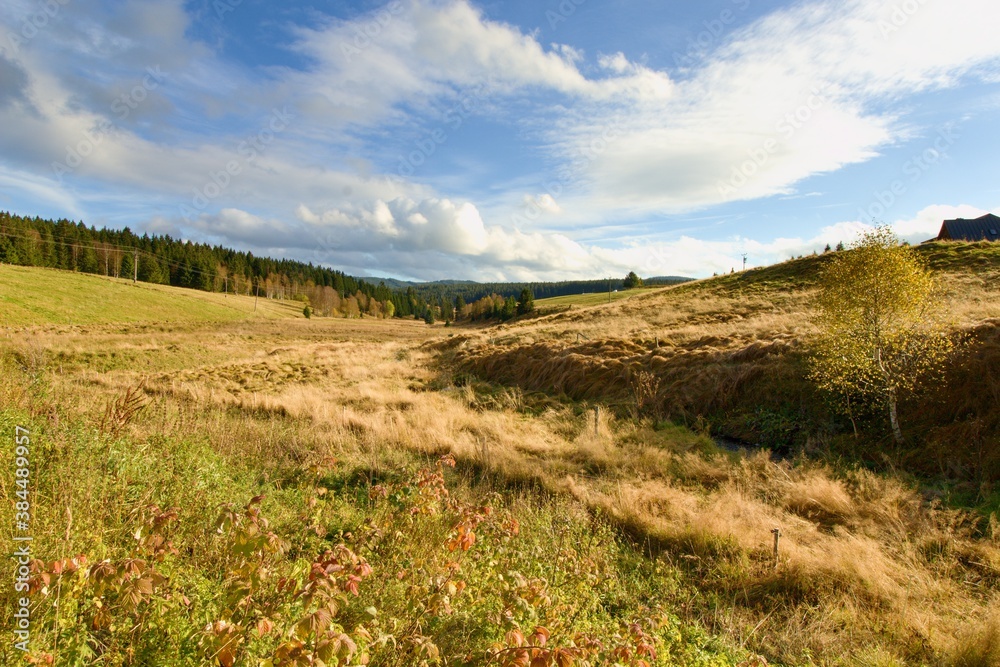 Obraz premium Sunset at romantic czech countryside landscape of Sumava national park near to village Kvilda, Bohemia, Czech Republic, middle Europe