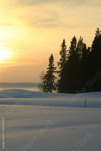 Sunset in snowy landscape with a frozen lake, a lot of snow and the silhouettes of spruces. The photo is taken in Vuokatti, Finland.