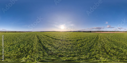 full seamless spherical hdri panorama 360 degrees angle view on among fields in summer day with clear sky in equirectangular projection  ready for VR AR virtual reality content