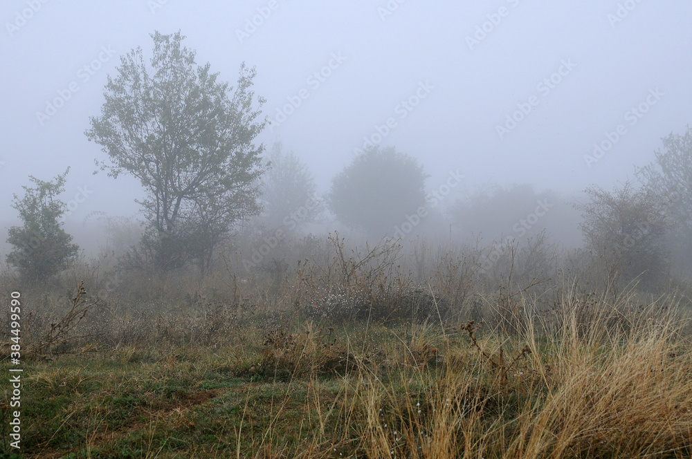 Fuzzy foggy rural landscape