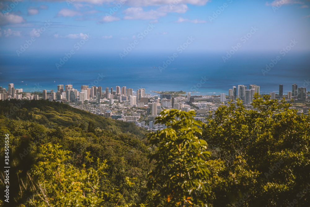 City view from the forest, Honolulu, Oahu, Hawaii