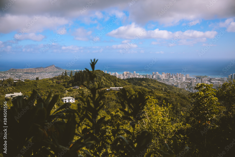City view from the forest, Honolulu, Oahu, Hawaii