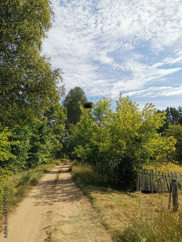 country road in summer