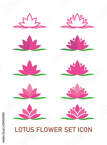 Lotus flower set icon with different style.