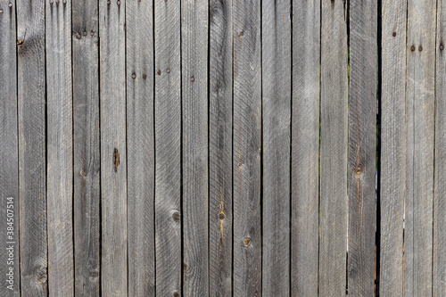Wallpaper Mural Beautiful horizontal texture of gray boards with knots and resin is in the photo Torontodigital.ca