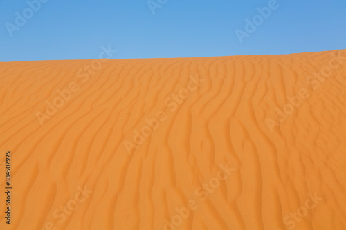 オマーンの砂漠 