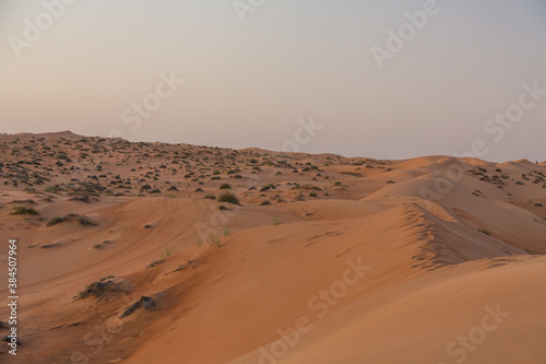 夕方のオマーンの砂漠
