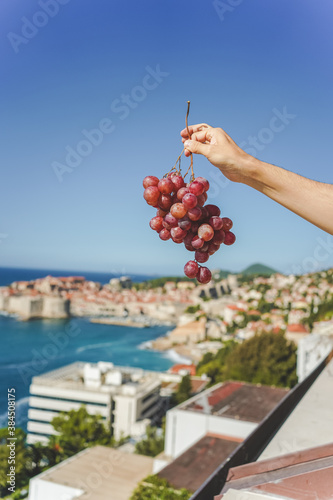 Holding red grapes in hand. Dubrovnik and the Adriatic Sea in the background.