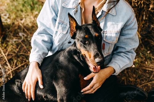Fotografia, Obraz Woman hugging a doberman breed dog, outdoors.