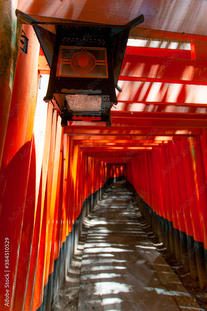 千本鳥居 千本鳥居