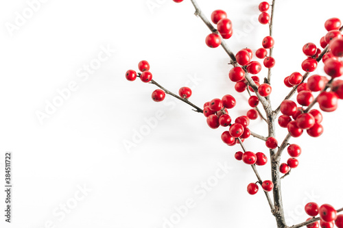 Minimal seasonal composition. Pattern of branch with red berries on isolated white background. Christmas holidays, winter concept. Copy space, flat lay.