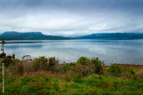 Green grassand flowers growing at the shore of Lake Brunner on gloomy day with dramatic sky, Moana, New Zealand