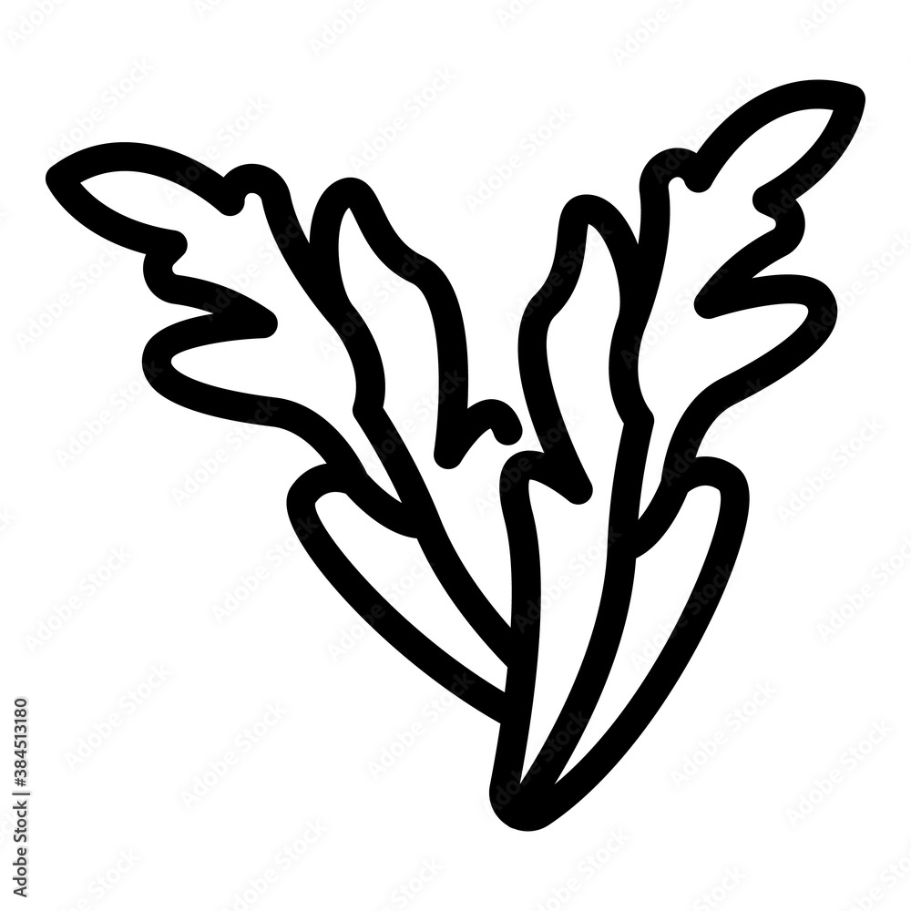 Plant arugula icon. Outline plant arugula vector icon for web design isolated on white background Plant arugula icon. Outline plant arugula vector icon for web design isolated on white background