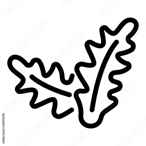Herb arugula icon. Outline herb arugula vector icon for web design isolated on white background
