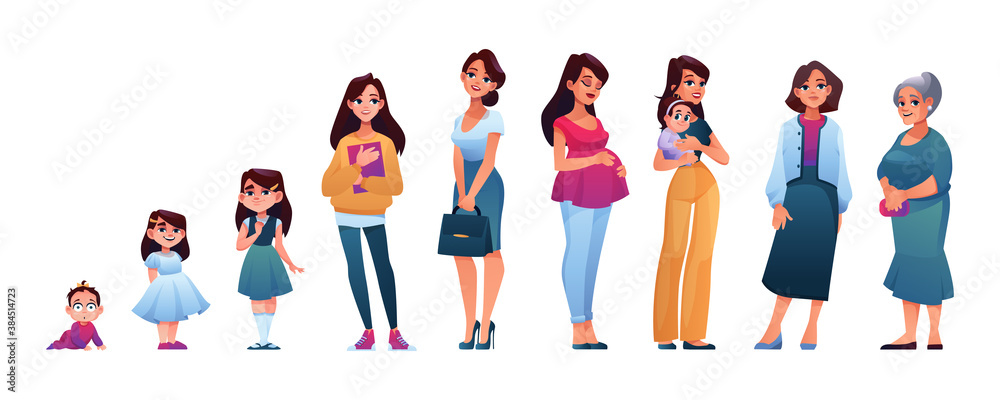 Sequences of woman life stages isolated. Vector female age, character ...