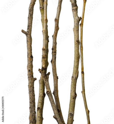 Sticks isolated on a white background without a shadow. Itams for scene creation photo