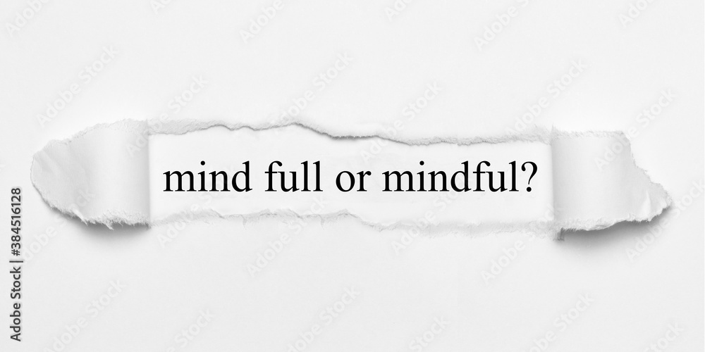 Fototapeta premium mind full or mindful?