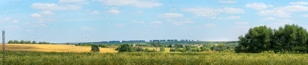 Beautiful panoramic rural view of green and golden fields during summer sunny day