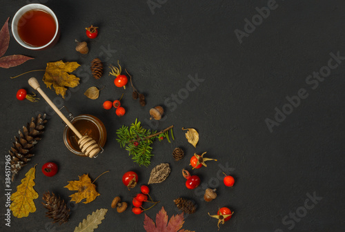 Autumn composition on a black background with cones, colorful dry leaves and red berries. Horizontally with space, overhead