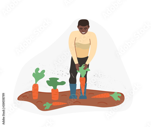 Organic production. Man growing carrot isolated on white background. Process of local growing in modern style. Organic healthy food. Perfect for poster, website, brochure. Flat Vector Illustration