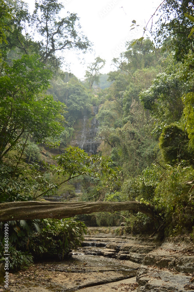 Hiking to Ciudad Perdida (The Lost City) in the jungle and mountains of Colombias Sierra Nevada de Santa Marta Hiking to Ciudad Perdida (The Lost City) in the jungle and mountains of Colombias Sierra Nevada de Santa Marta