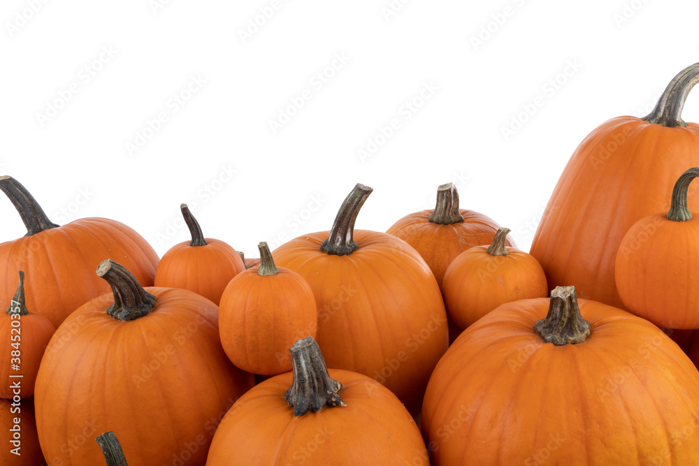 Heap of orange pumpkins Heap of orange pumpkins
