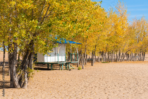 Beach house in autumn on an empty sandy beach among trees with yellow leaves