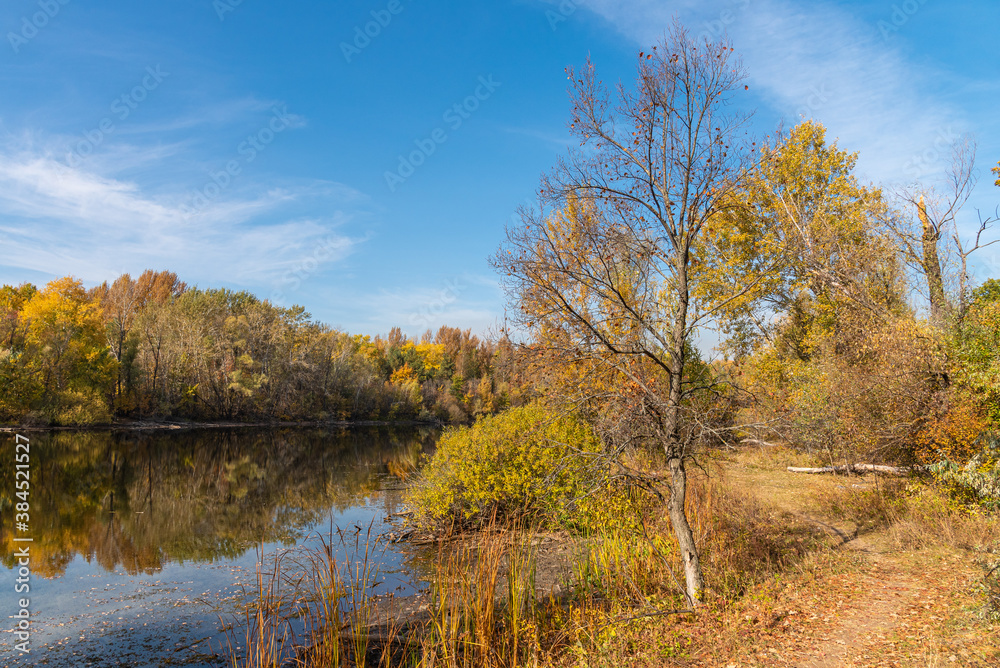 A beautiful autumn landscape - the shore of a forest lake, overgrown with trees with autumn golden leaves and a blue sky that are reflected in clear water
