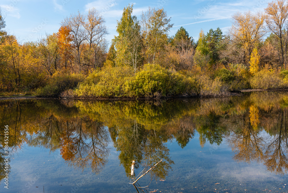 A beautiful autumn landscape - the shore of a forest lake, overgrown with trees with autumn golden leaves and a blue sky that are reflected in clear water A beautiful autumn landscape - the shore of a forest lake, overgrown with trees with autumn golden leaves and a blue sky that are reflected in clear water