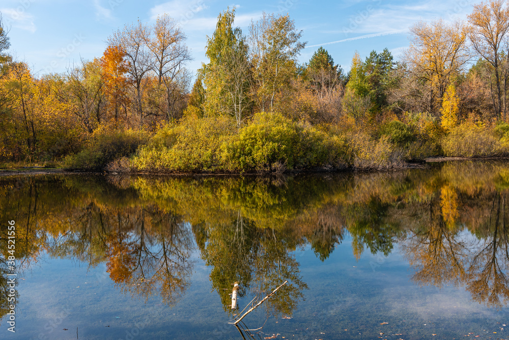 A beautiful autumn landscape - the shore of a forest lake, overgrown with trees with autumn golden leaves and a blue sky that are reflected in clear water