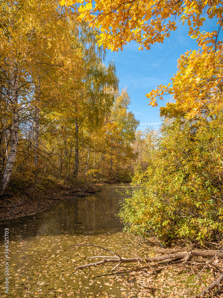 Beautiful autumn landscape - forest lake with trees on the banks and golden leaves on the water Beautiful autumn landscape - forest lake with trees on the banks and golden leaves on the water