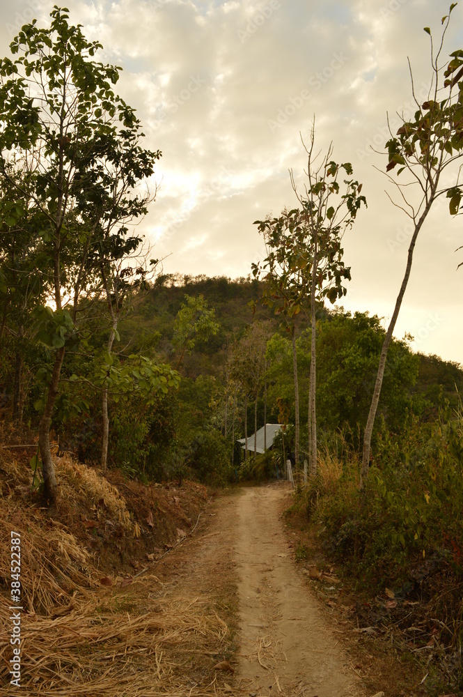 Obraz premium The Colombian rainforest and mountain landscapes of the Sierra Nevada de Santa Maria region
