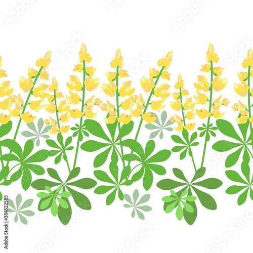 Lupine flowers seamless pattern